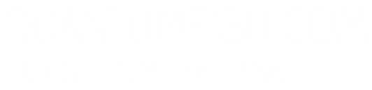 quantumfish.com